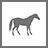 Horses Horses
